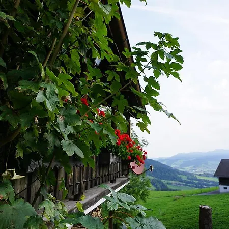 Ferienwohnungen im Blockhaus Metzler Schwarzenberg im Bregenzerwald Exterior foto
