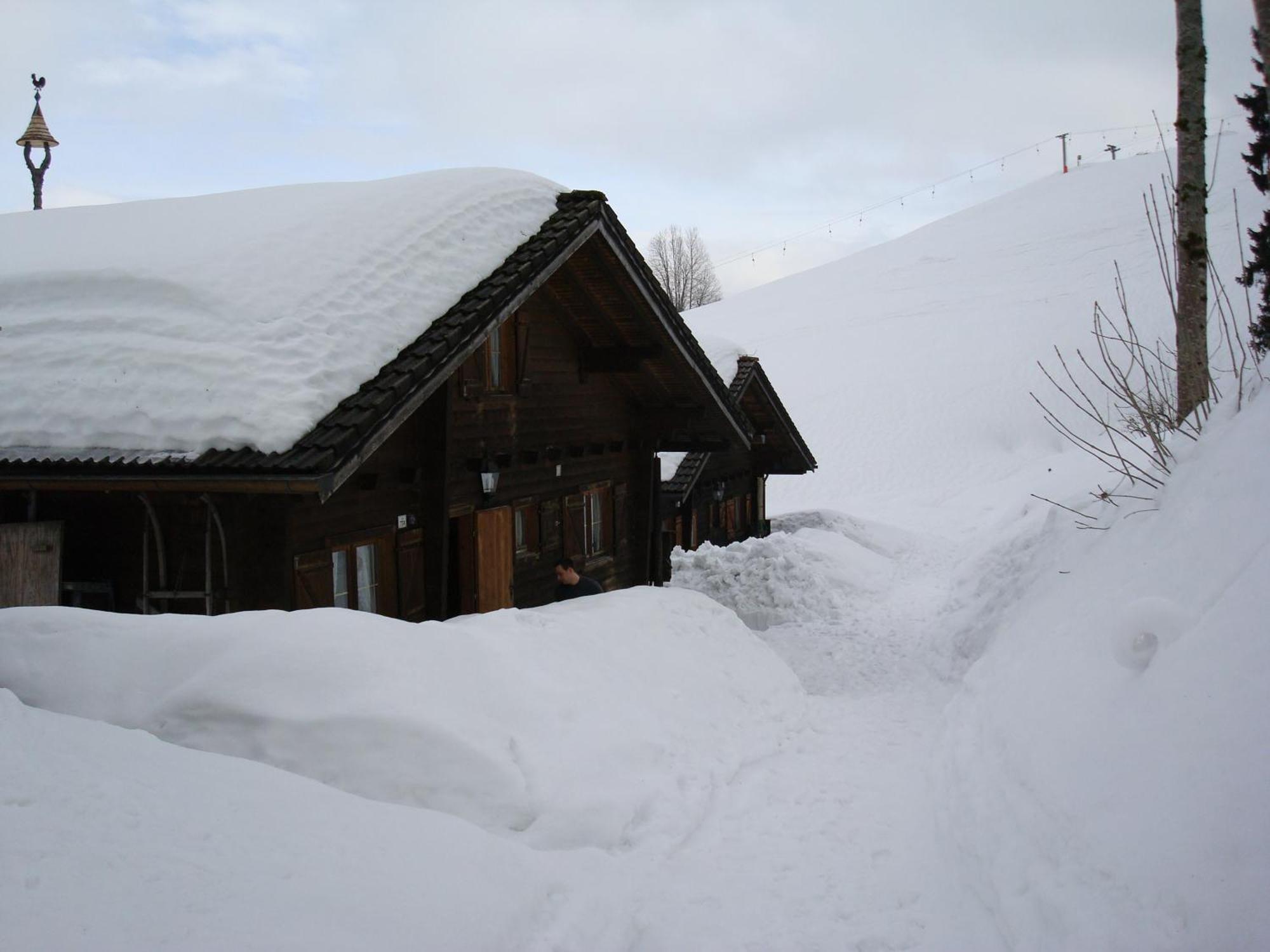 Im Blockhaus Metzler Appartement