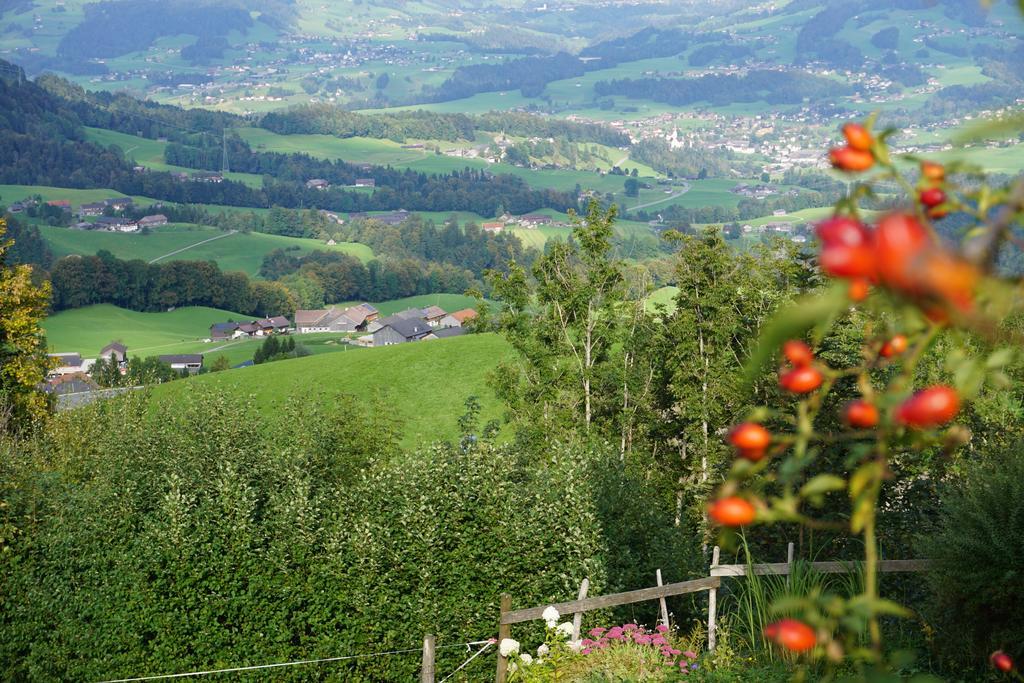 Appartement Im Blockhaus Metzler